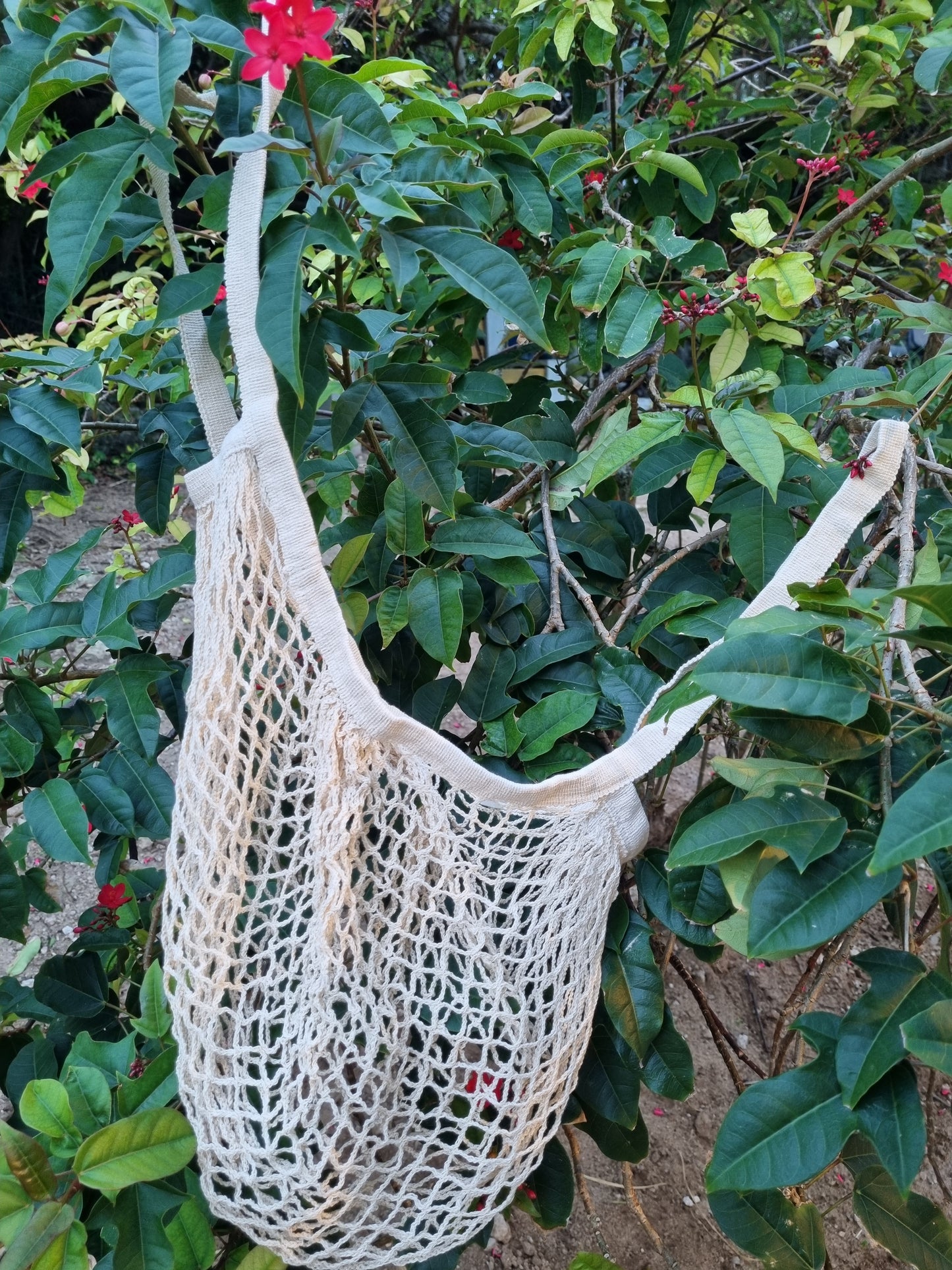 Mesh Shopping Bag- Regular Handles